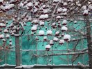 Sorbier et neige