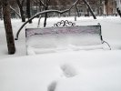 Un banc du parc