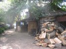 Cour, remise à bois - двор, сарай, дрова. Photo L.Roukhailo