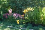Fleurs de Sibérie