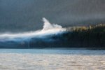 Vapeur du lac
