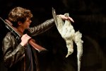 La Mouette - mise en scène d'Ostermeier
