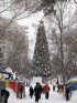 Sapin de Noël