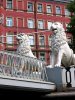 Les lions du canal